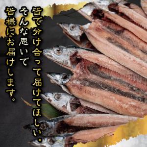 訳あり さんま開き 40枚 国産 サンマ 秋刀...の詳細画像3
