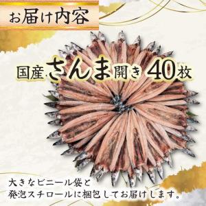 訳あり さんま開き 40枚 国産 サンマ 秋刀...の詳細画像4