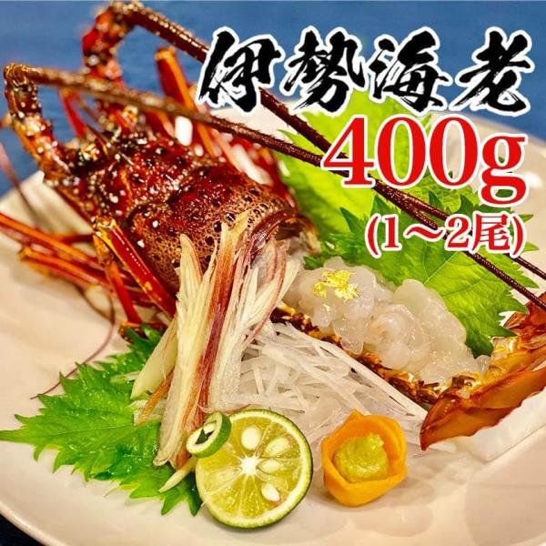 【産地直送】職人吉岡の冷凍伊勢海老 1~2尾 400g