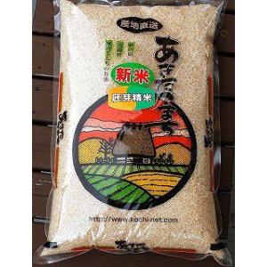あきたこまち 胚芽米 5kg 農家より直送 放射能 残留農薬不検出