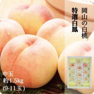 桃 岡山 白鳳 白桃 約1.5kg 9-12玉 中玉 果物 お中元 ギフト お取り寄せ もぎたて発送 農家直送 予約されたお客様から順次発送中
