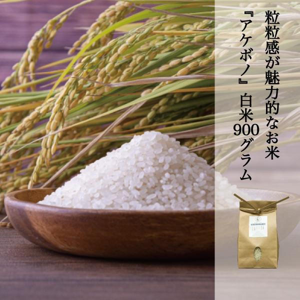 米 アケボノ 白米 約900g 晴れの国岡山 岡山の米 粘り コシ 硬さのバランスが良い米 産地直送...