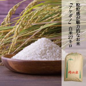 米 27kg 白米 アケボノ 農家直送 晴れの国岡山 岡山の米 粘り コシ 硬さのバランスが良い米 未検査米｜kochikobo