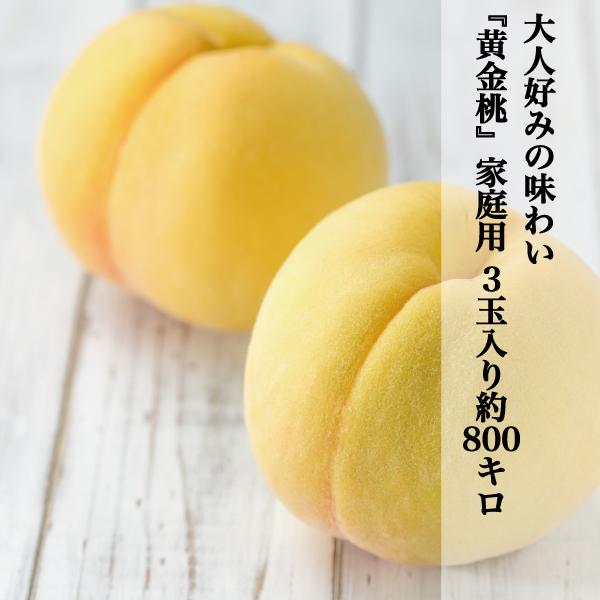 桃 岡山県産 黄金桃 約800g 3玉入り 大人好み 訳あり 家庭用 農家直送 もぎたて発送 8月下...