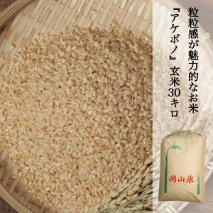 米 30kg 玄米 アケボノ 農家直送 晴れの国岡山 岡山の米 粘り コシ 硬さのバランスが良い米 未検査米｜kochikobo