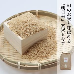 朝日米 玄米 30kg 令和7年