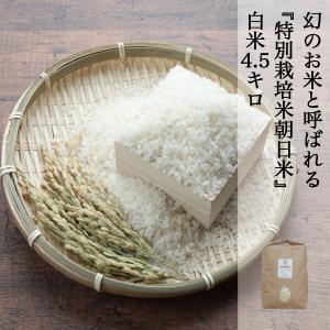 米 4.5kg 白米 特別栽培朝日米 朝日米 あさひ 農家直送 岡山を代表する米 しっかりしたコシと深い味わいが持ち味 少し表面が硬いお米 お取り寄せ｜kochikobo