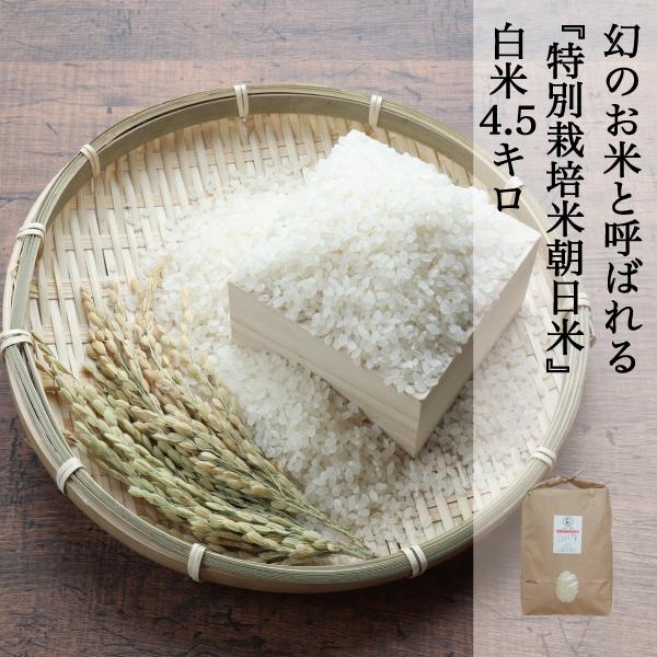 米 4.5kg 白米 特別栽培朝日米 朝日米 あさひ 農家直送 岡山を代表する米 しっかりしたコシと...