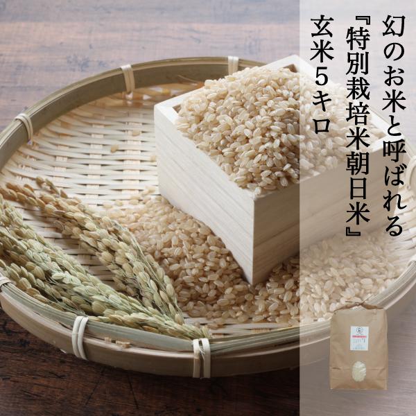 米 5kg 玄米 特別栽培朝日米 朝日米 あさひ 農家直送 岡山を代表する米 しっかりしたコシと深い...