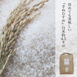 米 4.5kg 白米 きぬむすめ 農家直送 晴れの国岡山 岡山の米 ランク特A取得 米の食味ランキングAランク お取り寄せ｜kochikobo