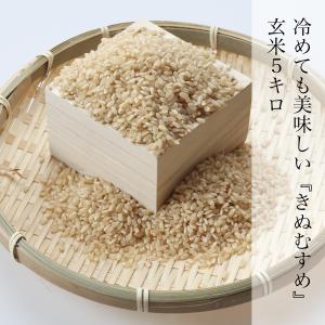 米 5kg 玄米 きぬむすめ 農家直送 晴れの国岡山 岡山の米 ランク特A取得 米の食味ランキングAランク お取り寄せ｜kochikobo