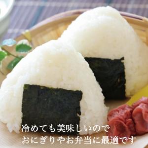 新米 米 玄米 にこまる 30kg 笑顔がこぼ...の詳細画像4