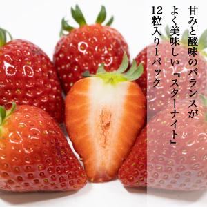 ギフト スターナイト 苺 いちご イチゴ 1パック12個入り 約400g strawberry 甘みと酸味のバランスがとてもよく美味しい 産地直送 お取り寄せ｜kochikobo