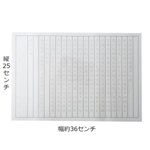 写経用紙 文字大き目 なぞり書き 土佐和紙50...の詳細画像3
