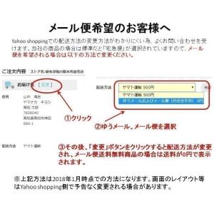 書き置き専用御朱印帳 見開きサイズ 現代アート...の詳細画像3