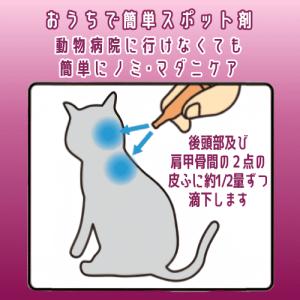 猫 ノミ マダニ 蚊 駆除 猫ダニ 猫 ノミ取...の詳細画像4