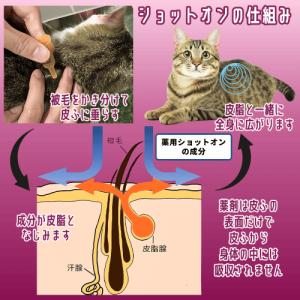 猫 ノミ マダニ 蚊 駆除 猫ダニ 猫 ノミ取...の詳細画像5