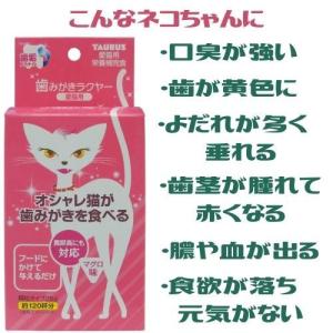 猫 歯ブラシ 苦手 嫌がる 猫デンタルケア 猫...の詳細画像5