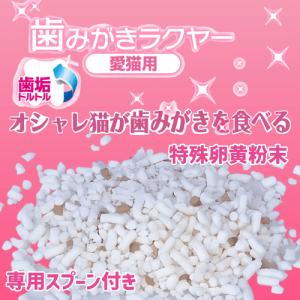 猫 歯ブラシ 苦手 嫌がる 猫デンタルケア 猫...の詳細画像2