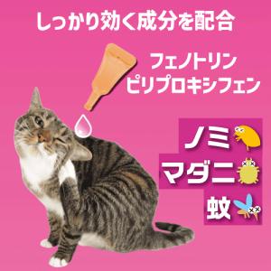 猫 ノミ マダニ 蚊 駆除 猫ダニ 猫 ノミ取...の詳細画像5