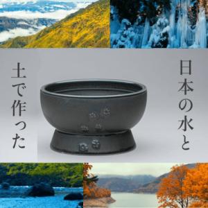 猫壱（necoichi） 猫 食器 猫好き プレゼント 贈り物 ハッピー