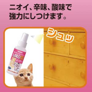 猫 爪とぎ 防止 猫 壁保護 壁紙 保護 爪研...の詳細画像3