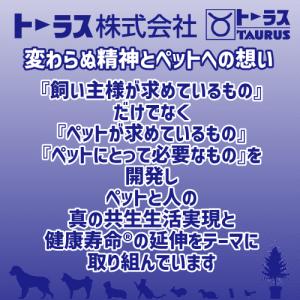 猫 爪とぎ 防止 猫 壁保護 壁紙 保護 爪研...の詳細画像5