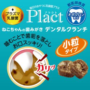 プラズマ乳酸菌 免疫ケア 猫のおやつ 猫 歯磨...の詳細画像3