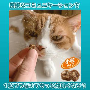 プラズマ乳酸菌 免疫ケア 猫のおやつ 猫 歯磨...の詳細画像5