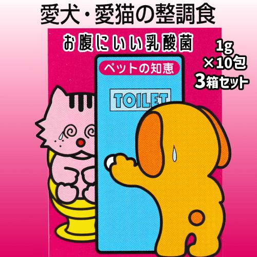 猫 乳酸菌 猫風邪 猫 便秘 腸活 腸内環境 乳酸菌 健康維持 猫 免疫 猫乳酸菌 ウンチ ゆるい ...