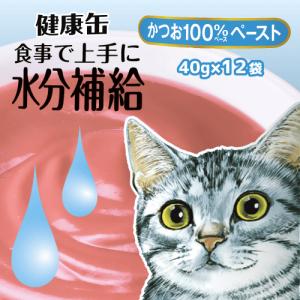 アイシア 猫ウェットフード 5375 健康缶 国産 パウチ 水分補給