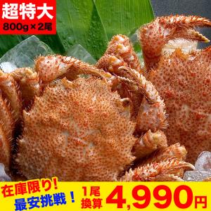 毛ガニ 特大 600g前後 2尾 合計1.2kg前後(毛蟹 毛がに