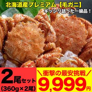 毛ガニ 360g前後×2尾 プレミアム北海道産(毛蟹 毛がに kegani けがに かに カニ味噌 蟹味噌)｜kod