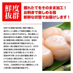 ホタテ 1kg 訳ありA品や特品といった正規に...の詳細画像3