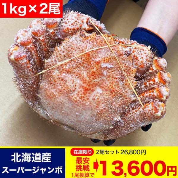 【在庫限り】スーパージャンボ 2尾で2kg前後 セット 毛ガニ 北海道産 プレミアム （毛蟹 けがに...