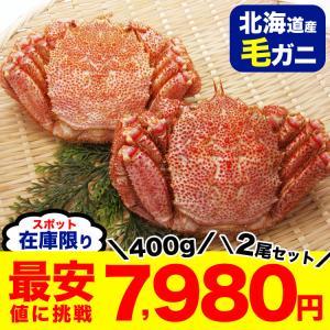 毛ガニ 2尾 （400g前後×2尾で合計800g前後） プレミアム