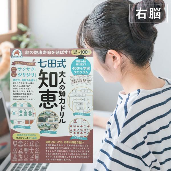 ドリル 大人 問題集 七田式 シルバーバック しちだ式 七田式 　大人の知力ドリル　知恵