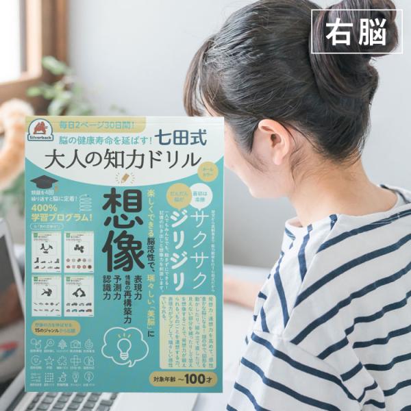 問題集 大人 想像力 七田式 シルバーバック しちだ式 七田式　大人の知力ドリル　想像