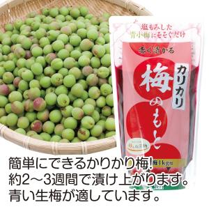こだま食品 赤く漬かるカリカリ梅の素 梅1キロ用の詳細画像1