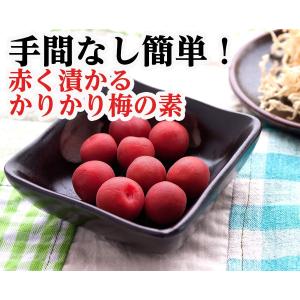 こだま食品 赤く漬かるカリカリ梅の素 梅1キロ用の詳細画像2