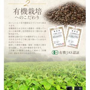 広島県産有機えごま油90ml×2本セット ギフ...の詳細画像4