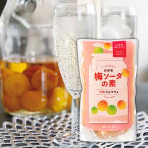 こだま食品　梅ジュースの素　完熟梅約1キロ分