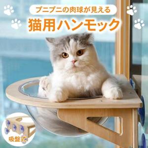 猫用 窓 宇宙船型 猫ベッド 強力吸盤 半球 透明 窓 壁 クリアボウル 半球 取り付けタイプ 吸盤 耐荷重20kg 頑丈 キャットベッド｜kodamaaa3