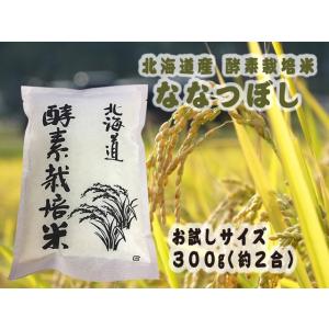 お試し 北海道こだわり酵素栽培　ななつぼし 300g（2合）送料無料  美味しいお米 数量限定　ポイント消化