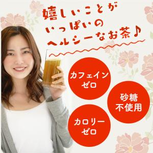 ひげ茶 アイリス コーン茶 ペットボトル 34...の詳細画像3