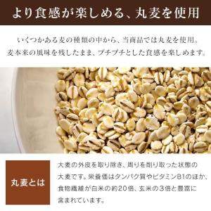 パックご飯 150g 24食 もち麦ご飯 もち...の詳細画像3