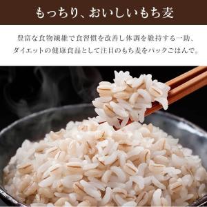 パックご飯 150g 24食 もち麦ご飯 もち...の詳細画像5