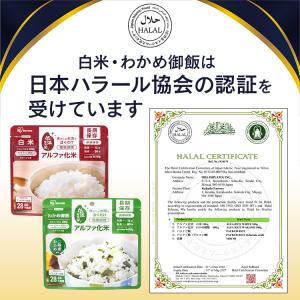 非常食 防災食 アルファ米 10食 備蓄 ご飯...の詳細画像1