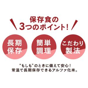 非常食 防災食 アルファ米 10食 備蓄 ご飯...の詳細画像3
