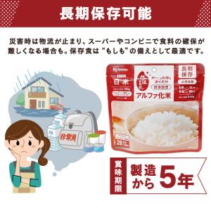 非常食 防災食 アルファ米 10食 備蓄 ご飯...の詳細画像4